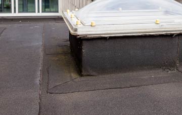 disadvantages of Glan Yr Afon flat roofs