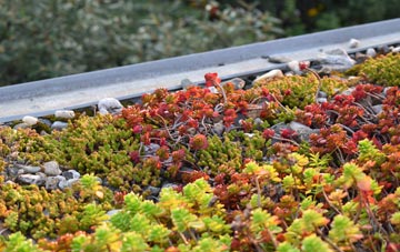 the cost of Glan Yr Afon green roof installation