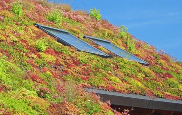 Glan Yr Afon living roof systems